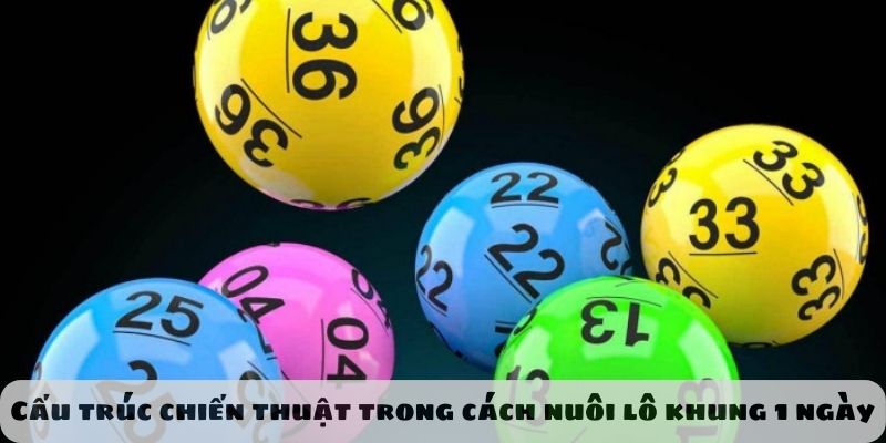 Cấu trúc chiến thuật trong cách nuôi lô khung 1 ngày