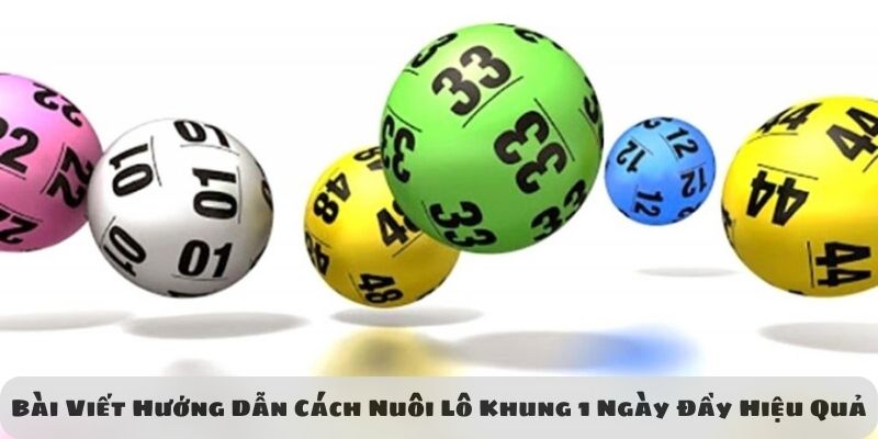 cách nuôi lô khung 1 ngày