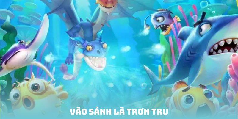 Vào sảnh là trơn tru như bơ lướt chảo, chơi phát dính liền