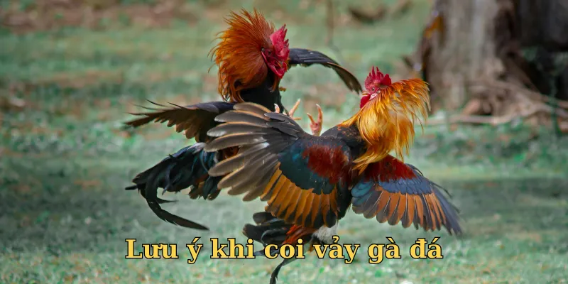 Lưu ý xem xét nhiều yếu tố